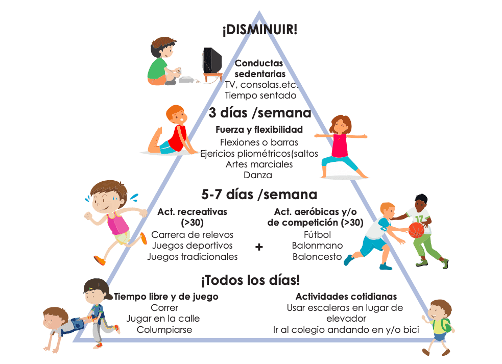 Pirámide de actividad física en niños y adolescentes.
healthyyouhealthychildren.com

