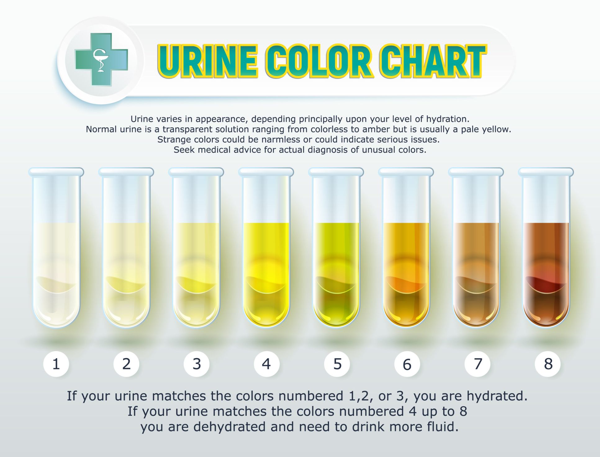 Printable Urine Hydration Chart Printable World Holid Vrogue co